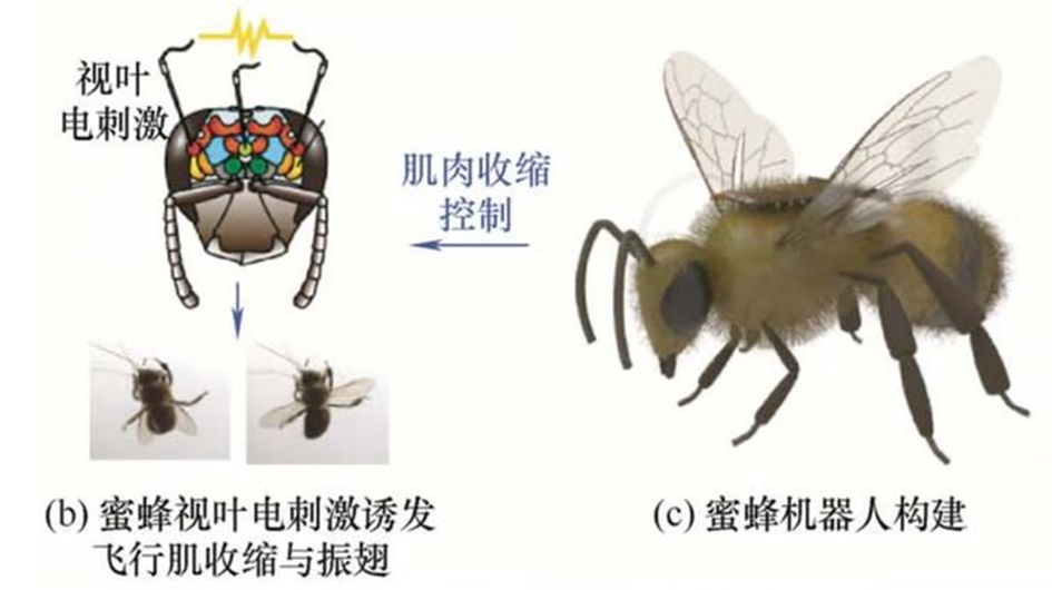 image-26.png